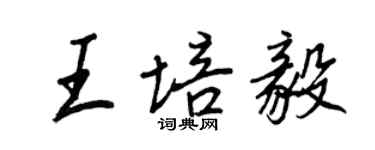 王正良王培毅行書個性簽名怎么寫