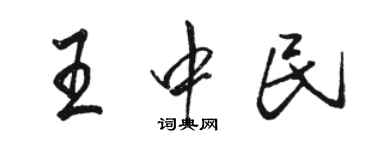 駱恆光王中民行書個性簽名怎么寫