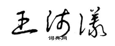 曾慶福王沛儀草書個性簽名怎么寫