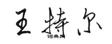 駱恆光王特爾行書個性簽名怎么寫