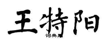 翁闓運王特陽楷書個性簽名怎么寫