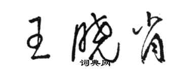 駱恆光王曉肖草書個性簽名怎么寫