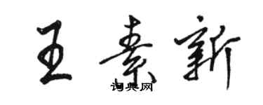 駱恆光王素新行書個性簽名怎么寫