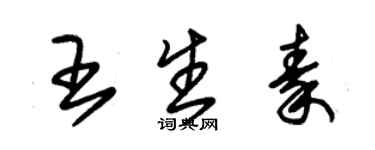 朱錫榮王生秦草書個性簽名怎么寫