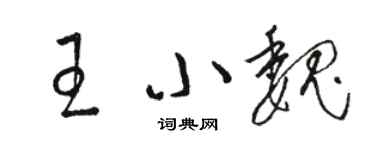 駱恆光王小魏草書個性簽名怎么寫
