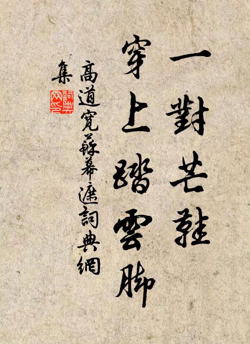 高道寬一對芒鞋,穿上踏雲腳書法作品欣賞