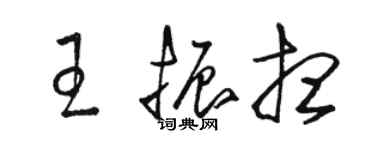 駱恆光王振想草書個性簽名怎么寫