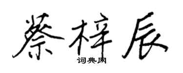 王正良蔡梓辰行書個性簽名怎么寫