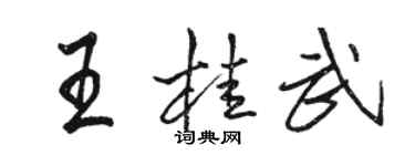 駱恆光王桂武行書個性簽名怎么寫