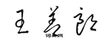 駱恆光王善朗草書個性簽名怎么寫