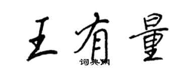 王正良王有量行書個性簽名怎么寫