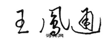 駱恆光王鳳通草書個性簽名怎么寫