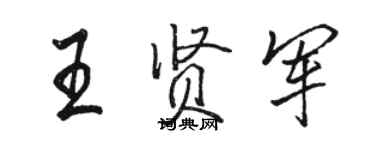 駱恆光王賢軍行書個性簽名怎么寫