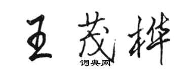駱恆光王茂樺行書個性簽名怎么寫
