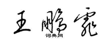 梁錦英王鵬霏草書個性簽名怎么寫