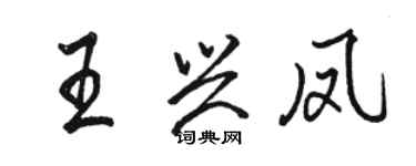 駱恆光王興鳳行書個性簽名怎么寫