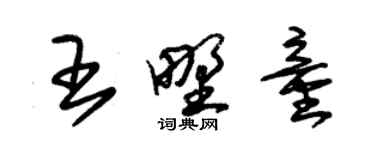 朱錫榮王野童草書個性簽名怎么寫