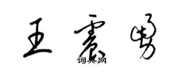 梁錦英王震勇草書個性簽名怎么寫