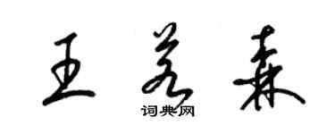 梁錦英王若森草書個性簽名怎么寫