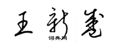 梁錦英王新盛草書個性簽名怎么寫