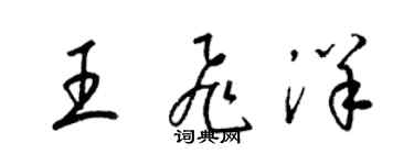 梁錦英王飛洋草書個性簽名怎么寫