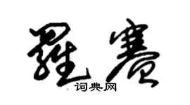 朱錫榮羅賽草書個性簽名怎么寫