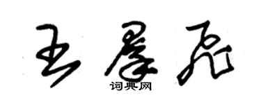 朱錫榮王群飛草書個性簽名怎么寫