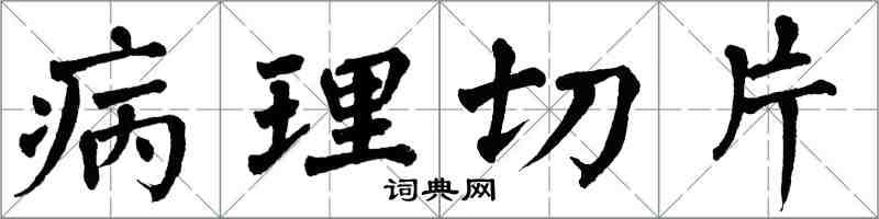 翁闓運病理切片楷書怎么寫