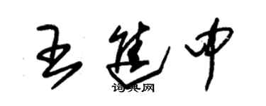 朱錫榮王進中草書個性簽名怎么寫