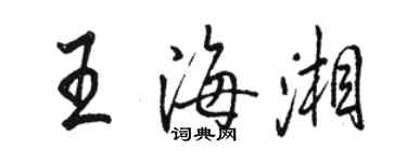 駱恆光王海湘行書個性簽名怎么寫