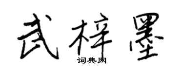 王正良武梓墨行書個性簽名怎么寫