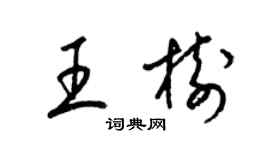 梁錦英王樹草書個性簽名怎么寫