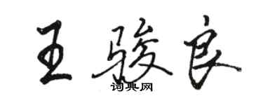 駱恆光王駿良行書個性簽名怎么寫