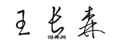 駱恆光王長森草書個性簽名怎么寫