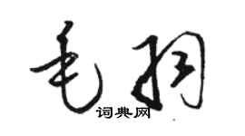 駱恆光毛羽草書個性簽名怎么寫