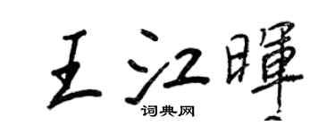 王正良王江暉行書個性簽名怎么寫