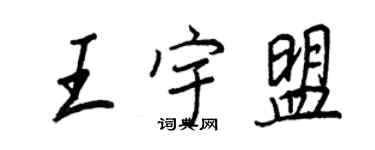 王正良王宇盟行書個性簽名怎么寫