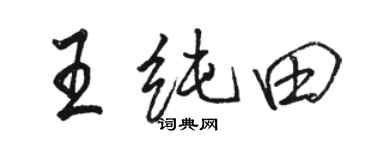 駱恆光王純田行書個性簽名怎么寫