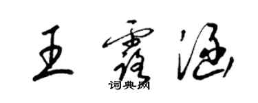 梁錦英王露涵草書個性簽名怎么寫