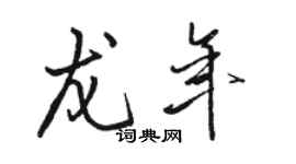 駱恆光龍年行書個性簽名怎么寫