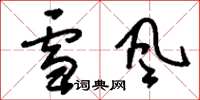 劉少英雪風草書怎么寫