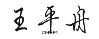 駱恆光王平舟行書個性簽名怎么寫