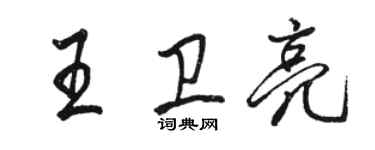 駱恆光王衛亮行書個性簽名怎么寫