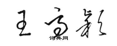 駱恆光王高穎草書個性簽名怎么寫