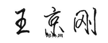 駱恆光王京剛行書個性簽名怎么寫