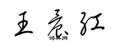 梁錦英王晨紅草書個性簽名怎么寫