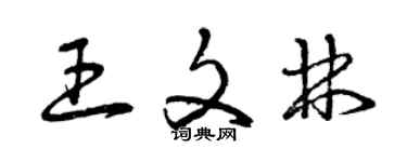 曾慶福王文林草書個性簽名怎么寫