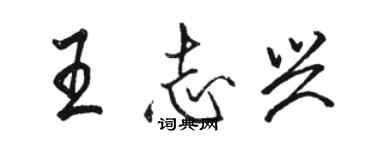 駱恆光王志興行書個性簽名怎么寫