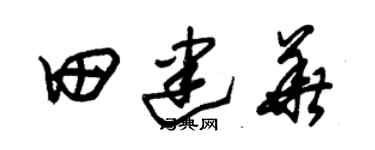 朱錫榮田建華草書個性簽名怎么寫