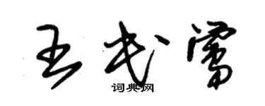 朱錫榮王民鶯草書個性簽名怎么寫
